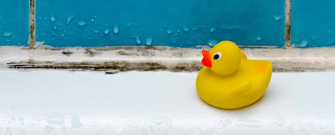 Rubber duck on a moldy bath tub